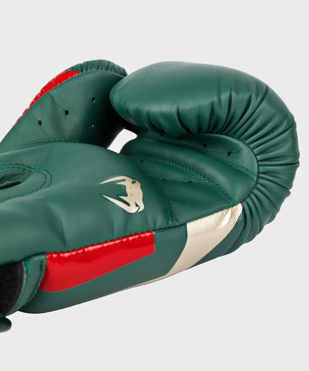 Venum Elite Special Edition Bokshandschoenen 12 OZ - Groen/Goud