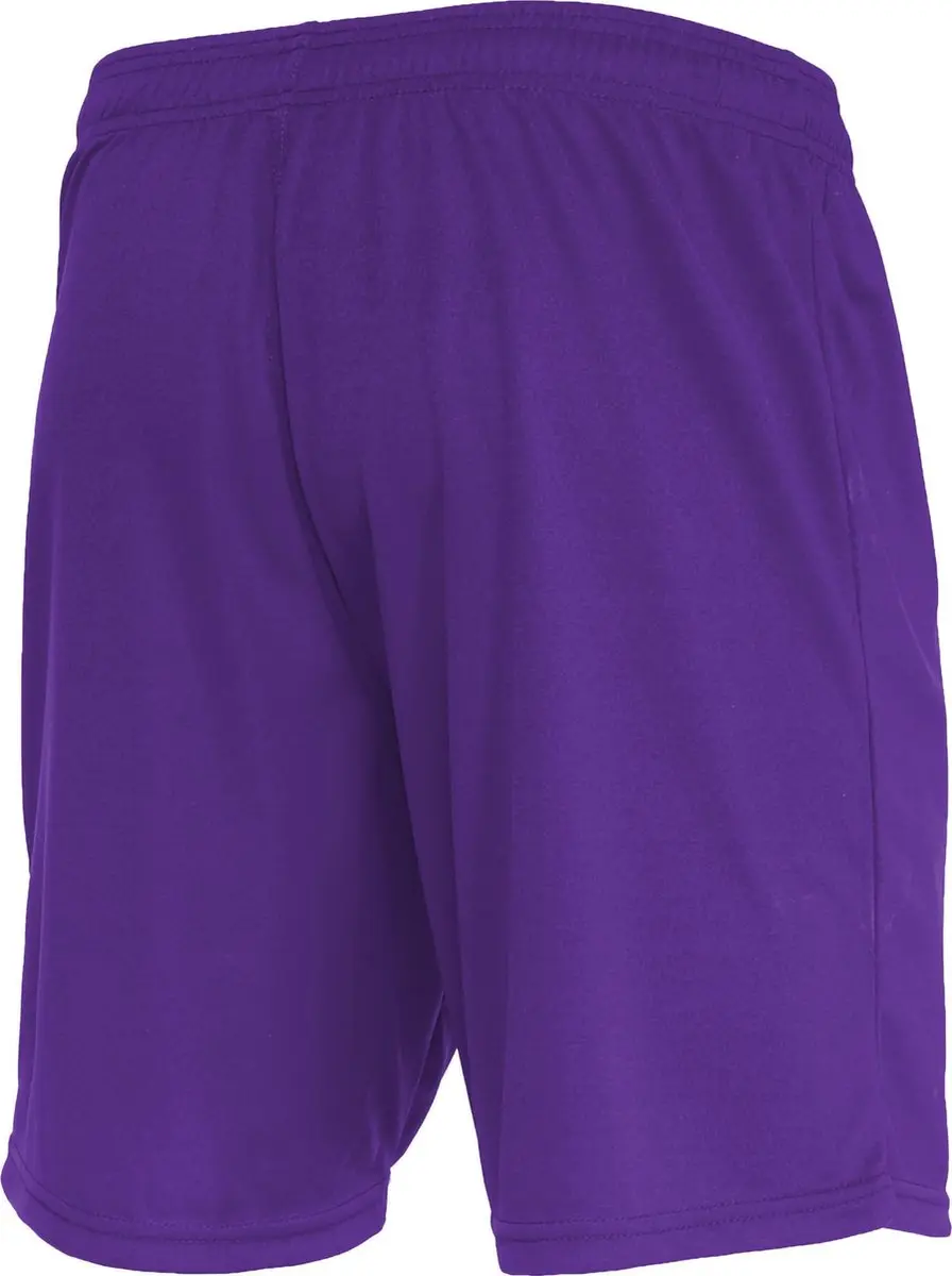 Macron Mesa Hero Short Heren - Paars XL