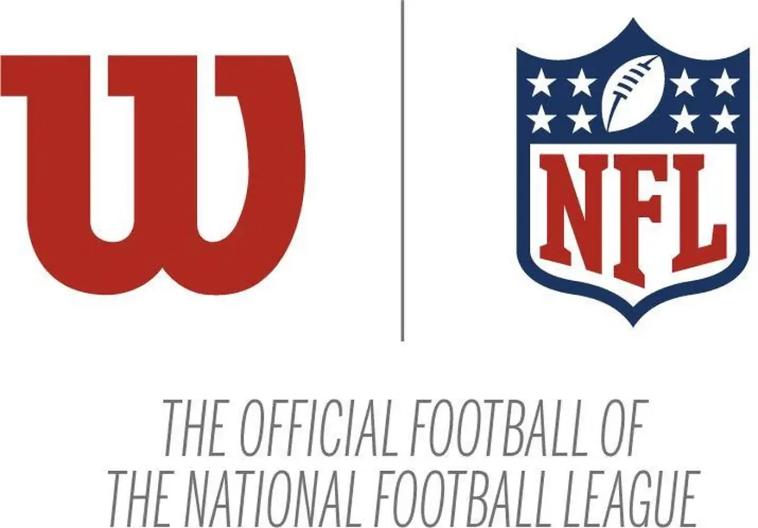 Wilson NFL Micro Duke American Football - Bruin