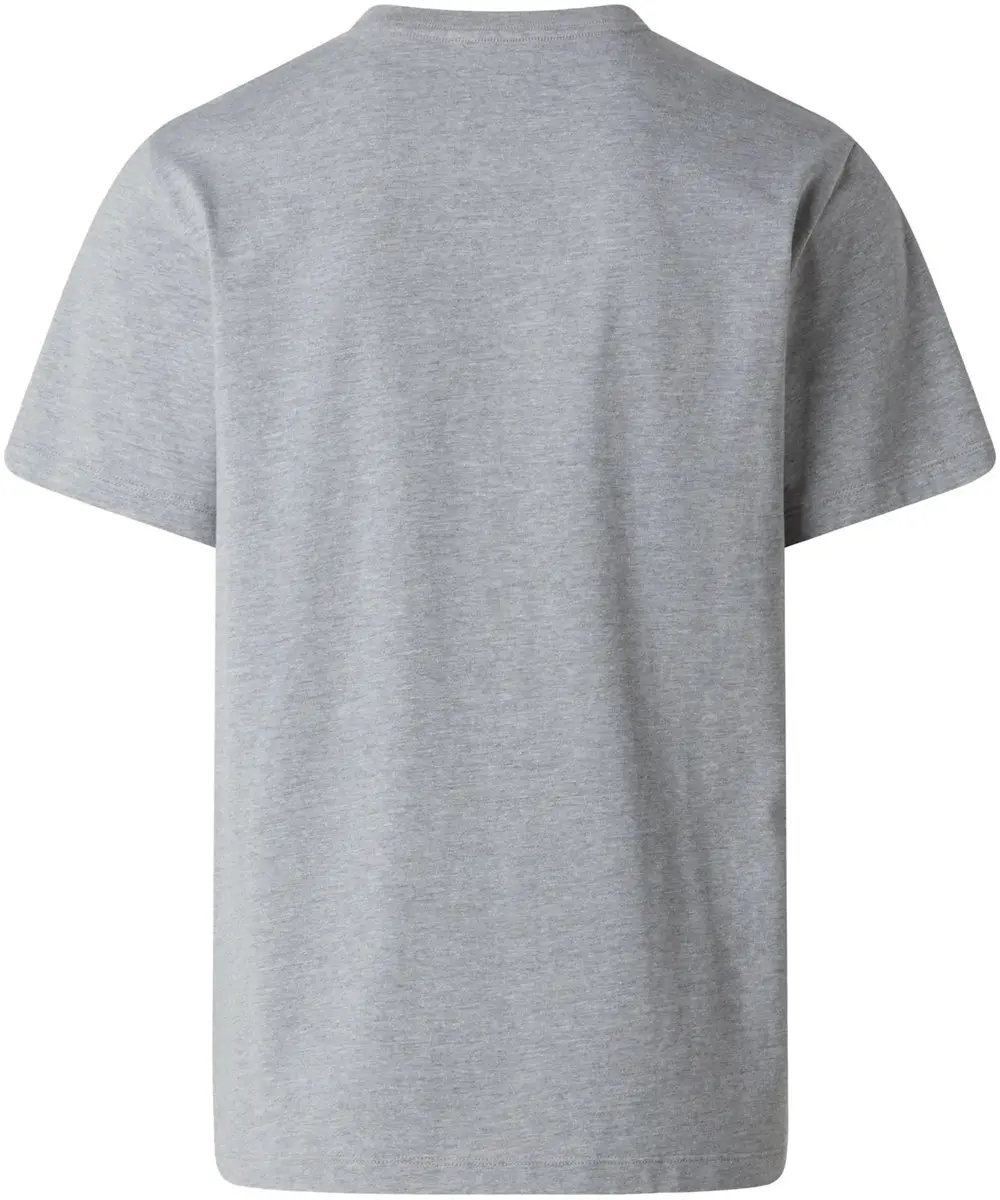 The North Face M Evolution Simple Dome SS Tee - Grijs
