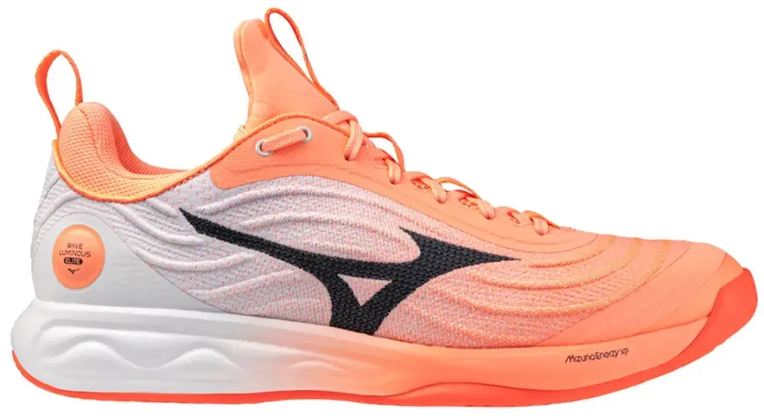 Mizuno Wave Luminous Elite Indoor Sportschoenen