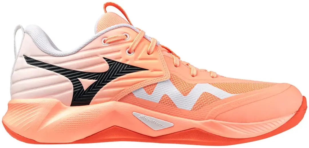 Mizuno Wave Momentum Pro Indoor Sportschoenen