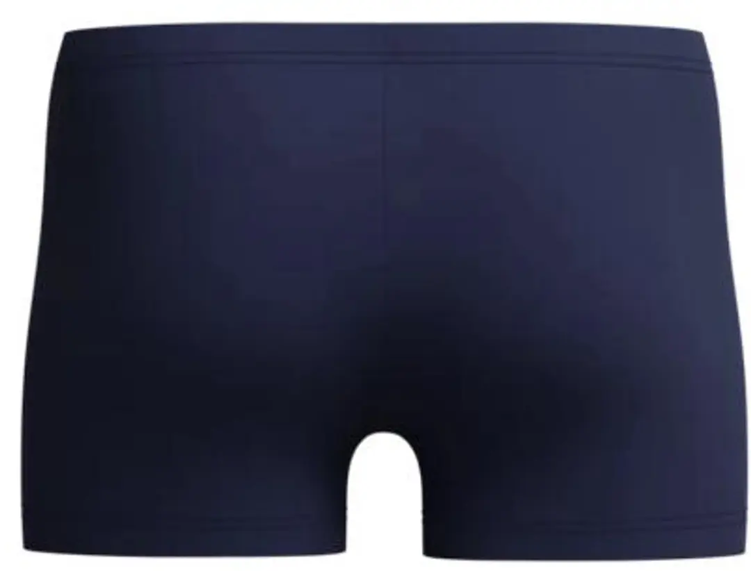 Speedo Medley Logo Aquashort Heren - Marine S