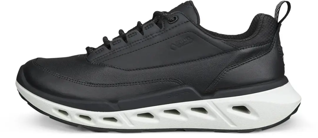 Schoenen dames Ecco Biom 720 Lea GTXS