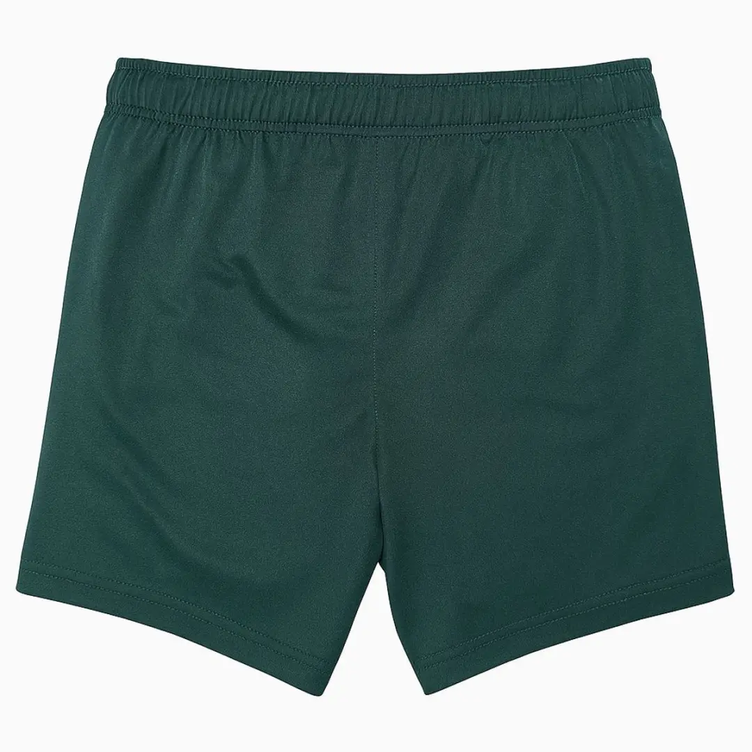 Castore Feyenoord Pro Players Trainingsshorts M - Groen