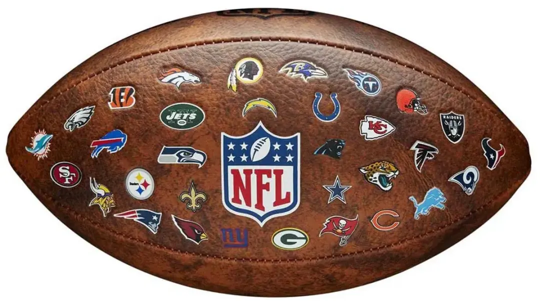 Wilson NFL Junior American Football 0 - Bruin