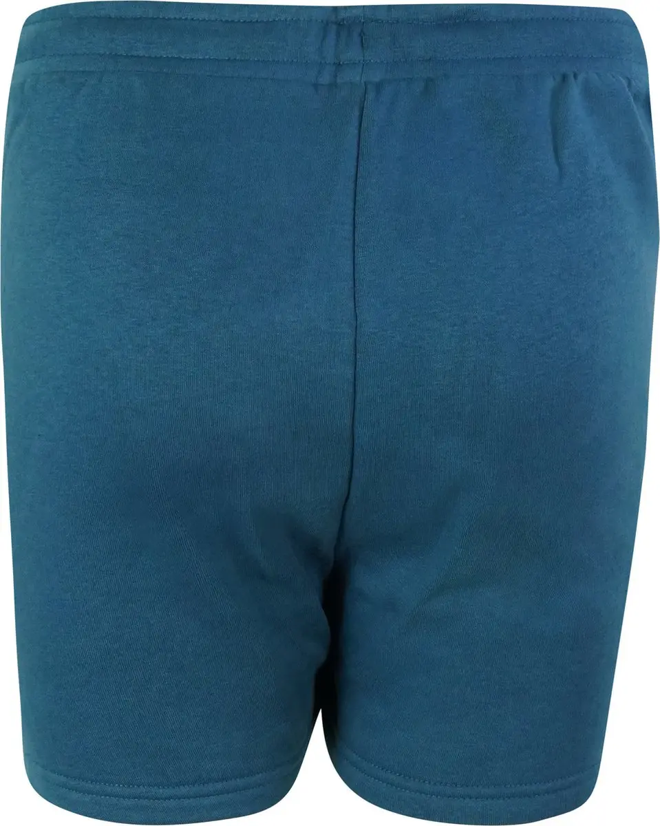 Björn Borg Sima Shorts Dames - Maat 36 - Blauw
