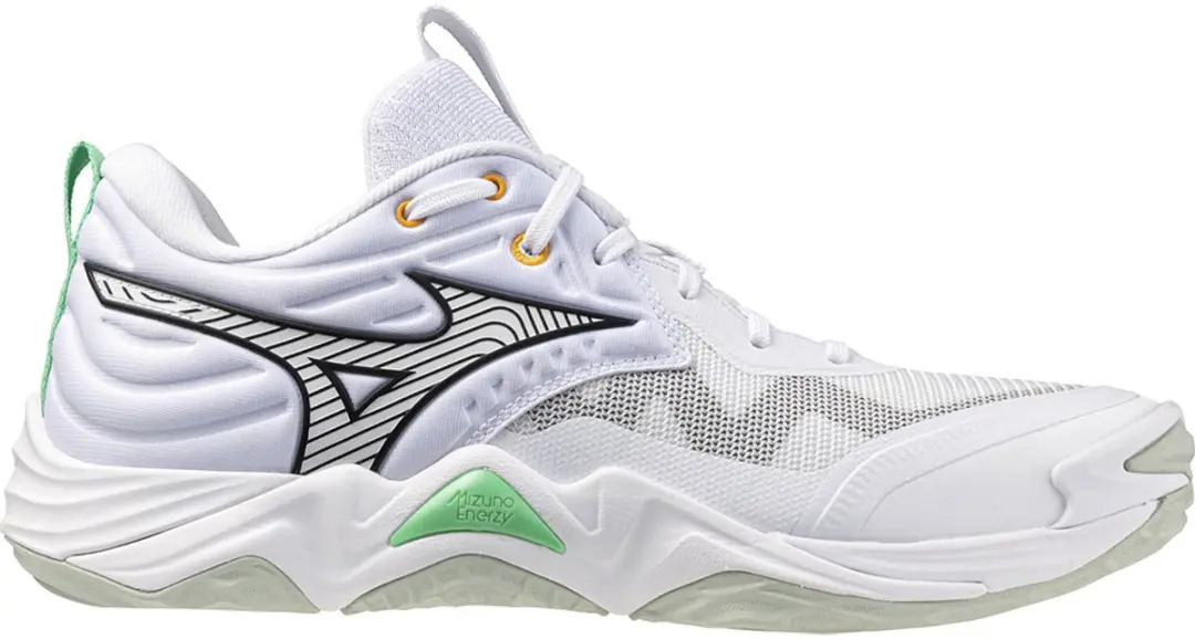 Mizuno Wave Momentum Elite Sportschoenen 44.5