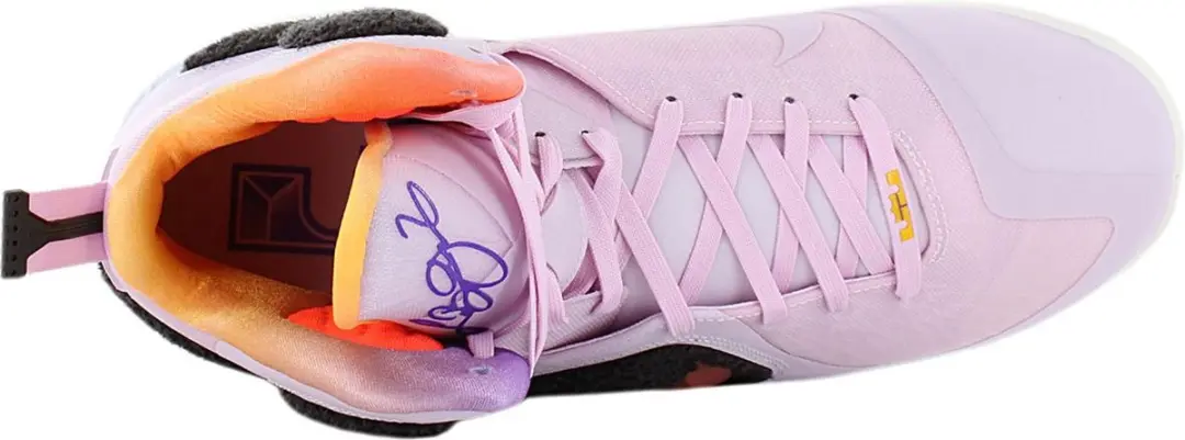 Nike LeBron 9 IX Heren Basketbalschoenen Roze DJ3908-600
