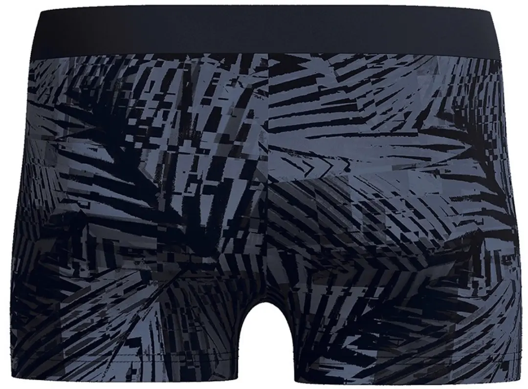 Speedo Heren Aquashort Valmilton Palm - Zwart & Grijs