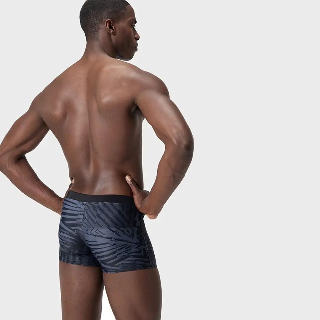 Speedo Heren Aquashort Valmilton Palm - Zwart & Grijs