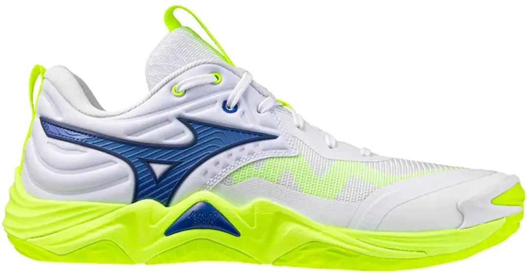 Mizuno Wave Momentum Elite Indoor Sportschoenen 41