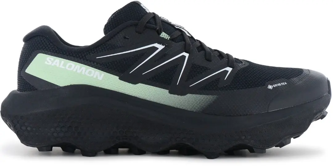 Salomon Ultra Flow 2 GTX Trail-Running Schoenen 479814
