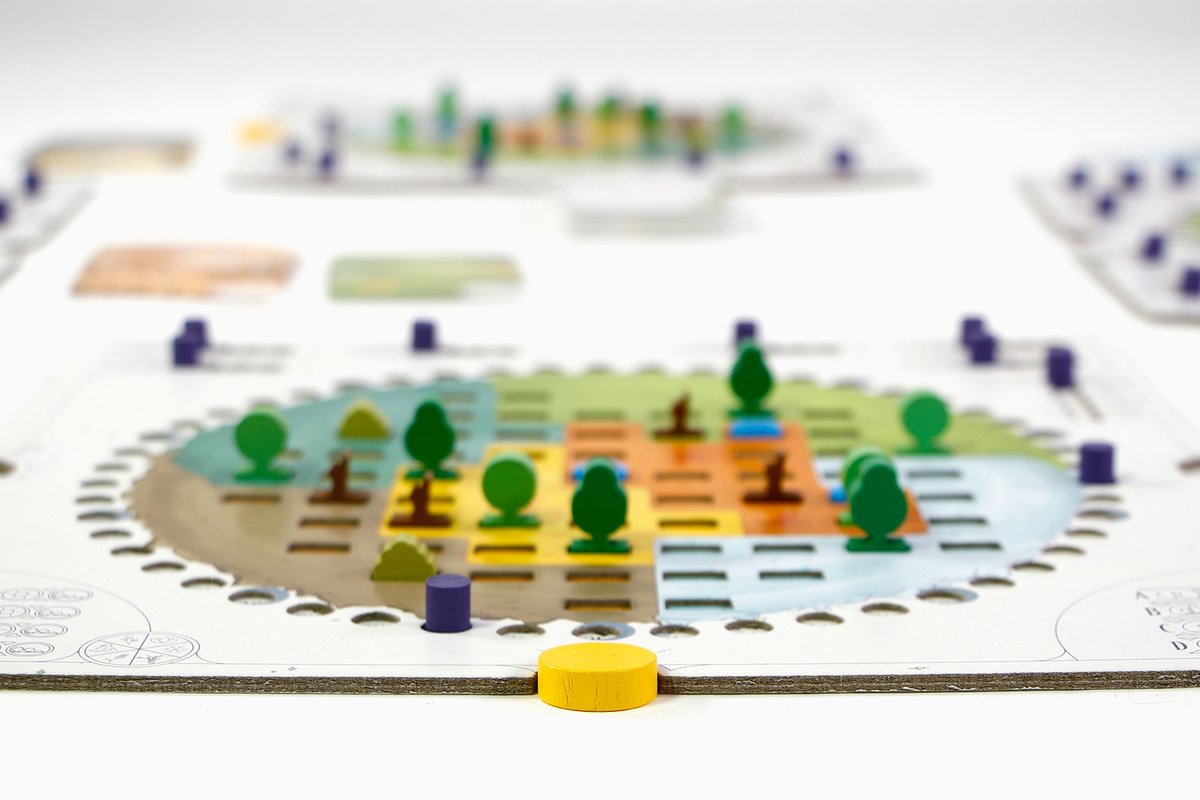 999 Games -Evergreen - Bordspel