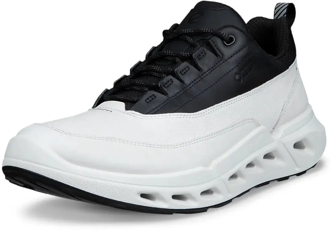 ECCO Biom 720 Low GTXS Baskets - Wit/Zwart