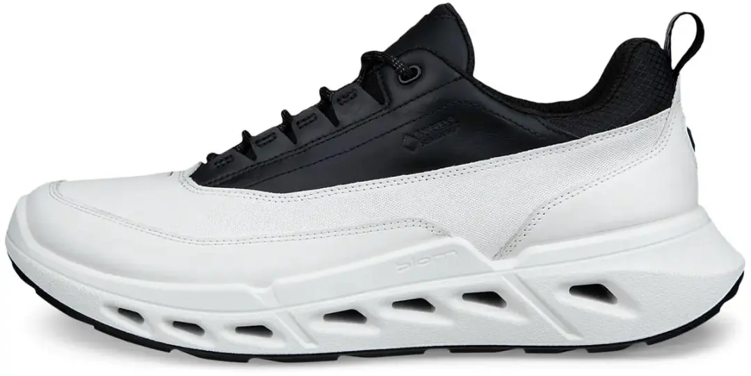 ECCO Biom 720 Low GTXS Baskets