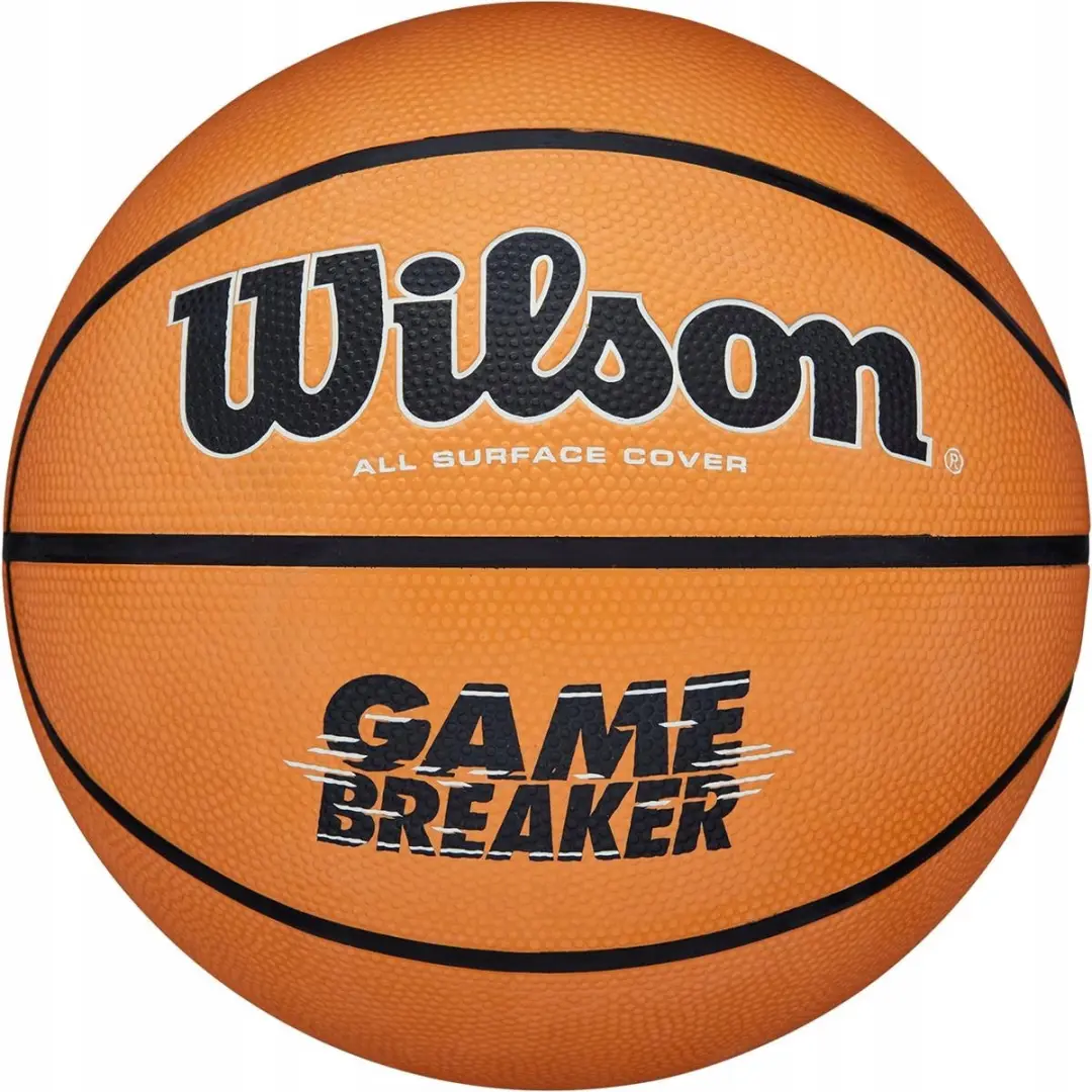 Wilson Gamebreaker Streetball Basketbal Maat 5