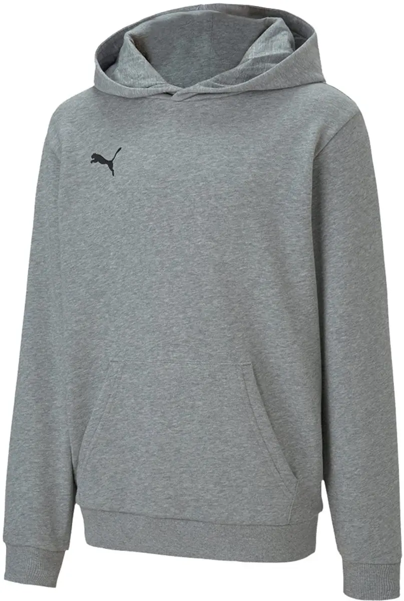 PUMA TeamGOAL 23 Casuals Hoody Jr