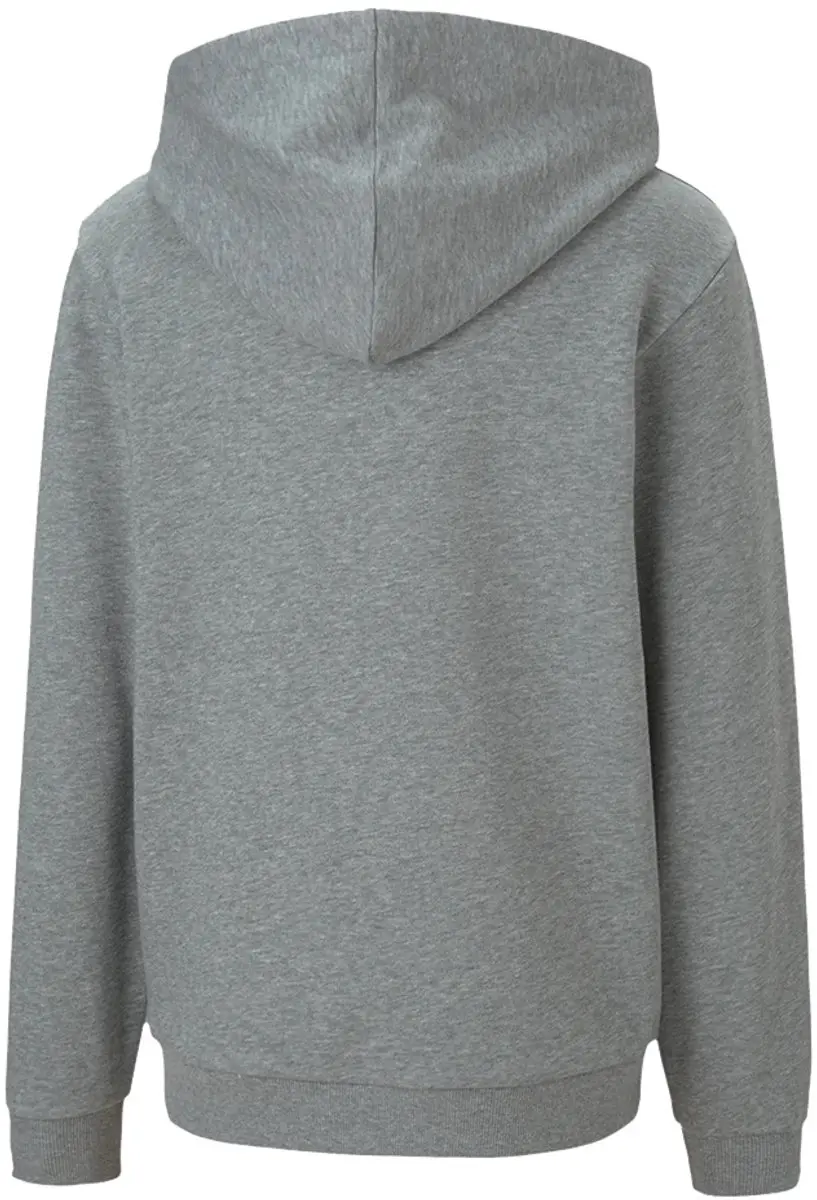 PUMA TeamGOAL 23 Casuals Hoody Jr - 116