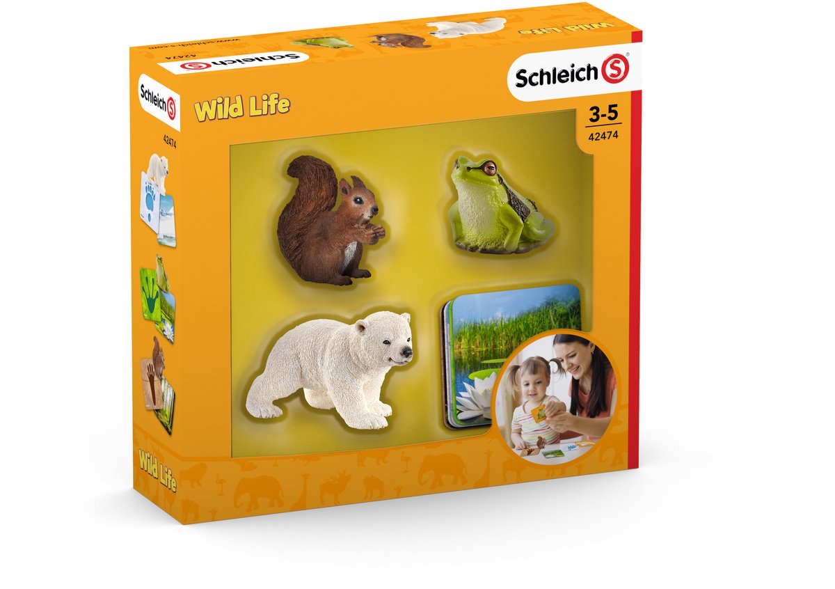Leerkaarten Wild Life Schleich (42474)