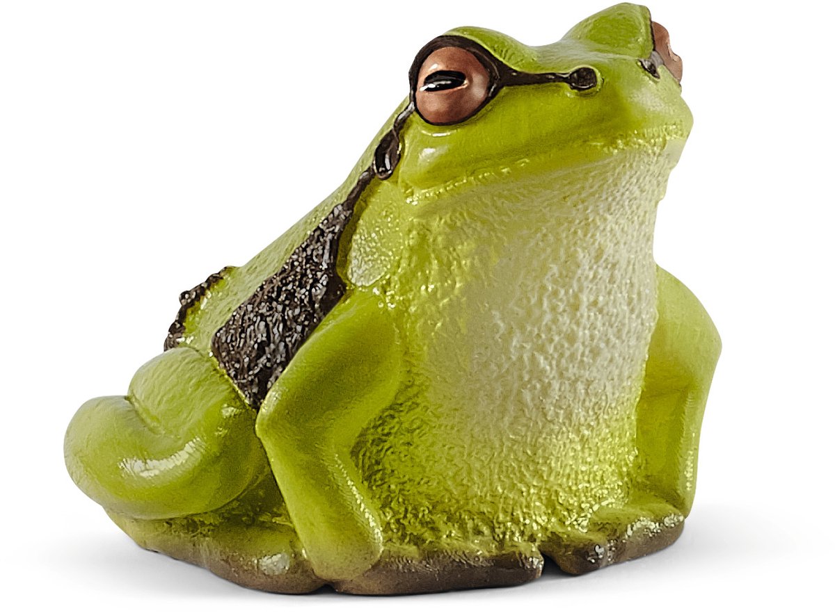 Leerkaarten Wild Life Schleich (42474)