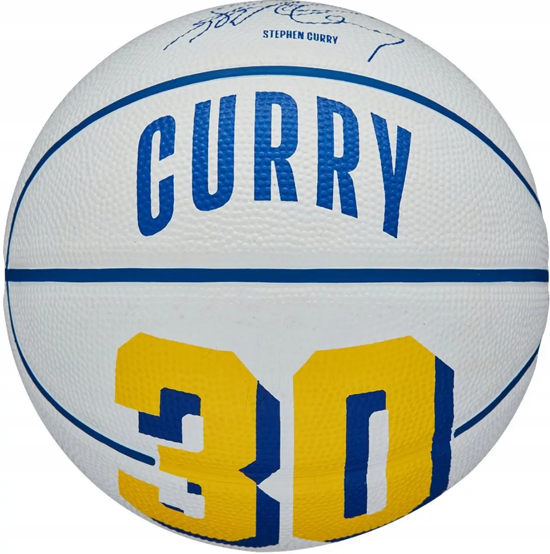 Wilson NBA Player Icon Mini