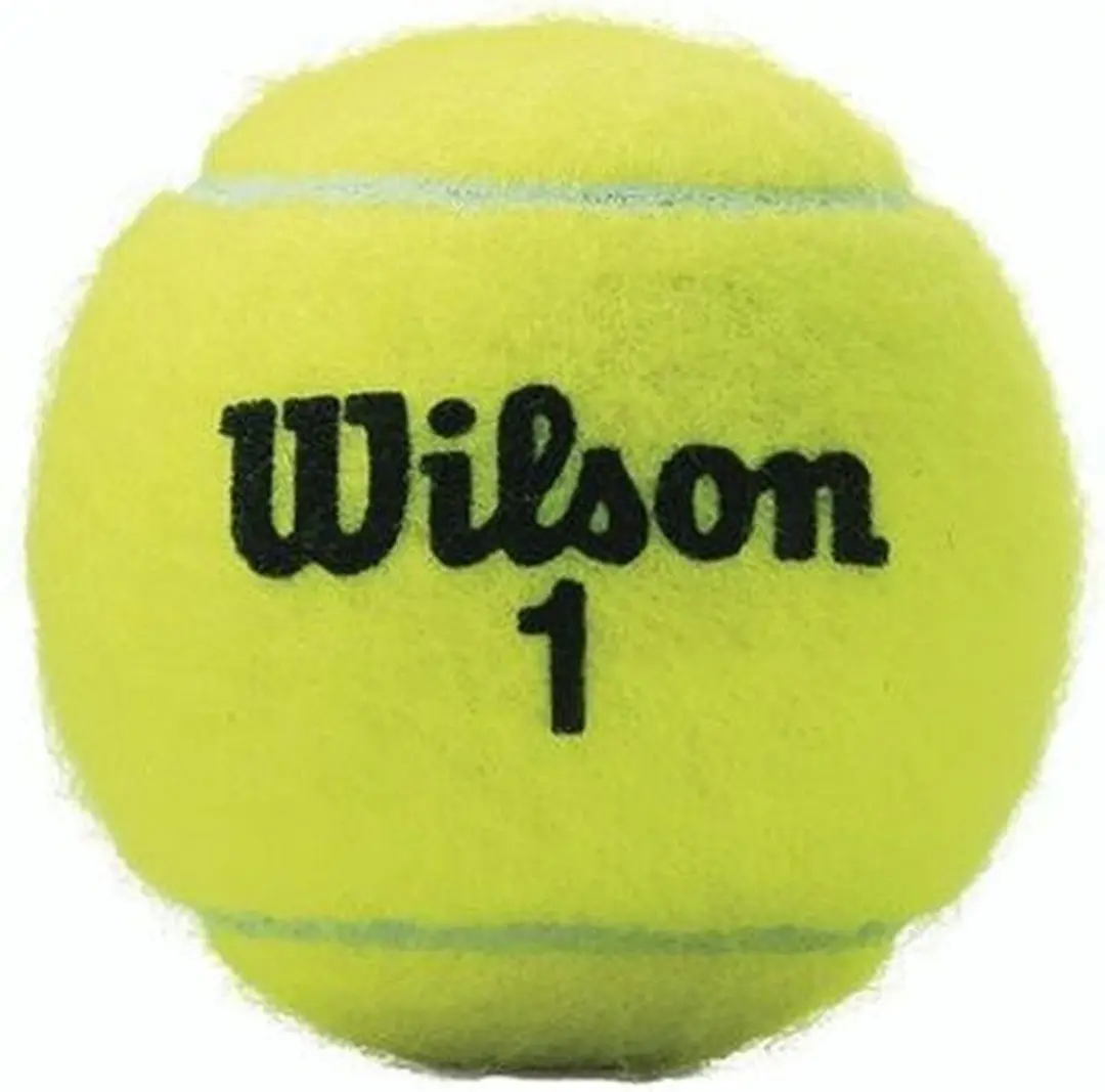 Wilson Championship Tennisballen - 3 Tubes