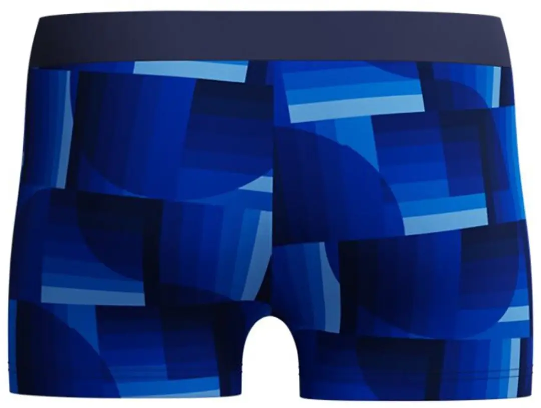 Speedo Zwemboxer Vamilton Heren - Maat 5 - Blauw