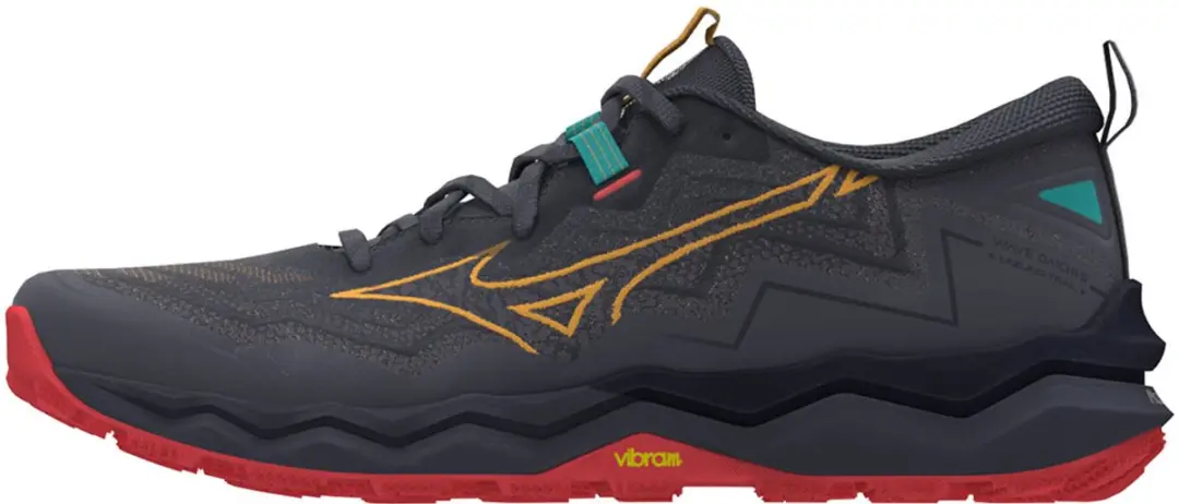 Mizuno Wave Daichi 9 Trailschoenen Grijs EU 41 Man