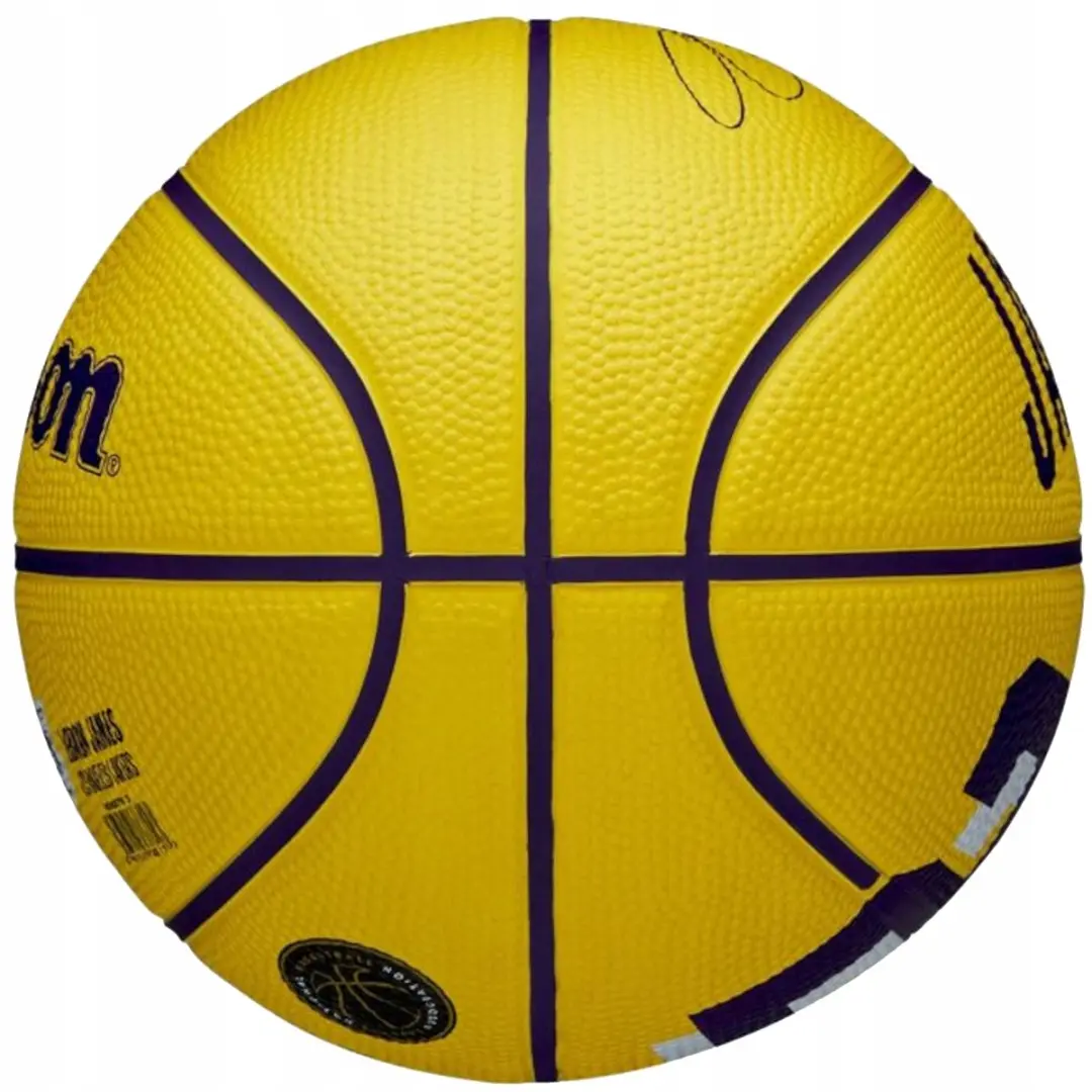 Wilson NBA LeBron James Mini Basketbal Maat 3
