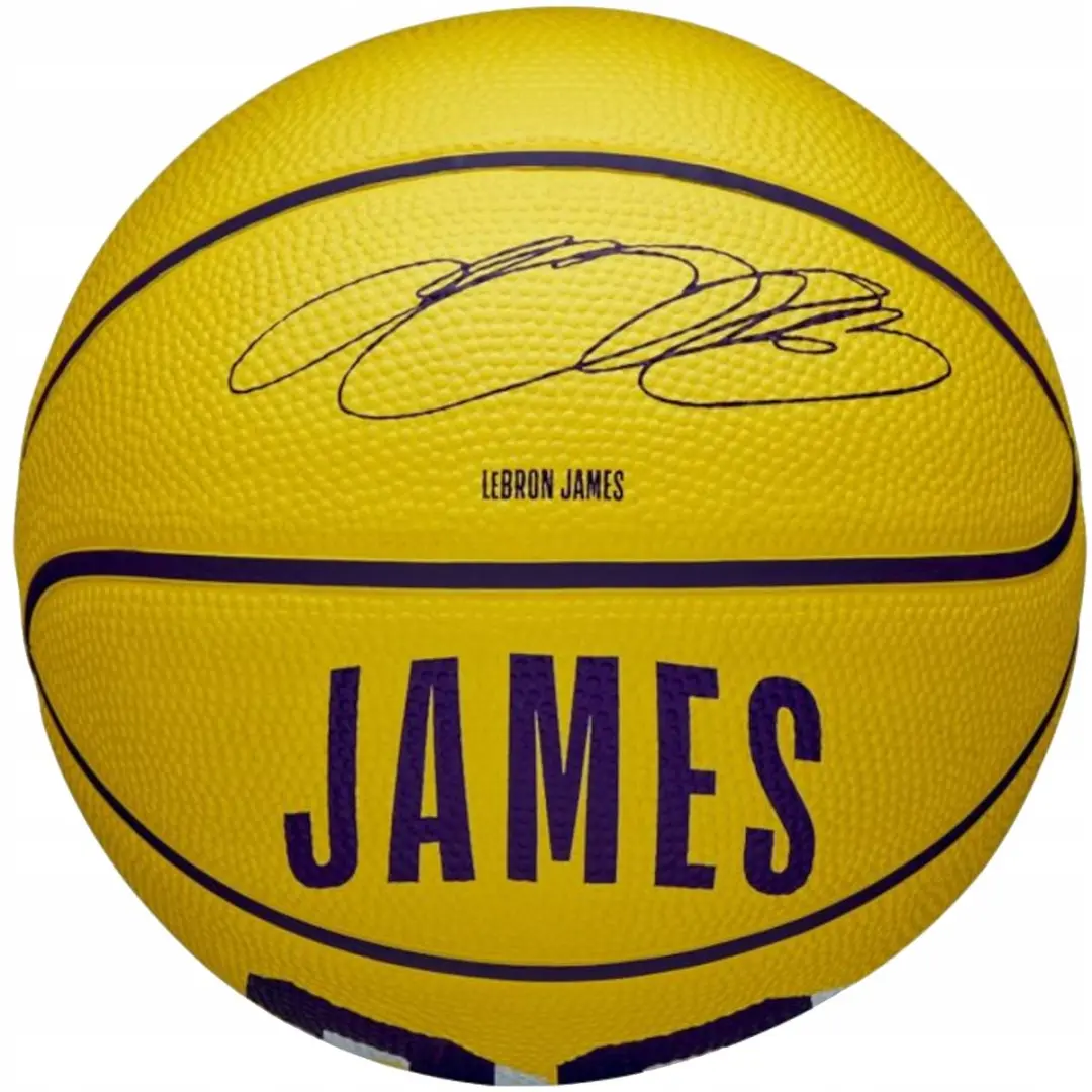 Wilson NBA LeBron James Mini Basketbal Maat 3