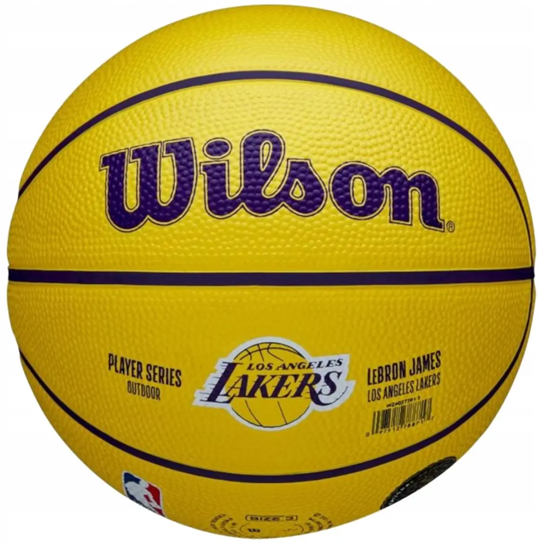Wilson NBA LeBron James Mini Basketbal Maat 3