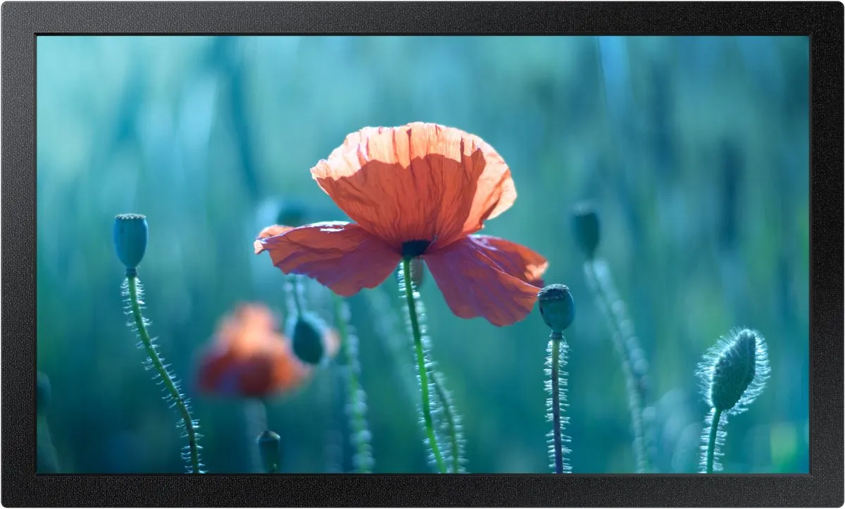 Samsung QB13C 13" Full HD Monitor - 35W - Zwart