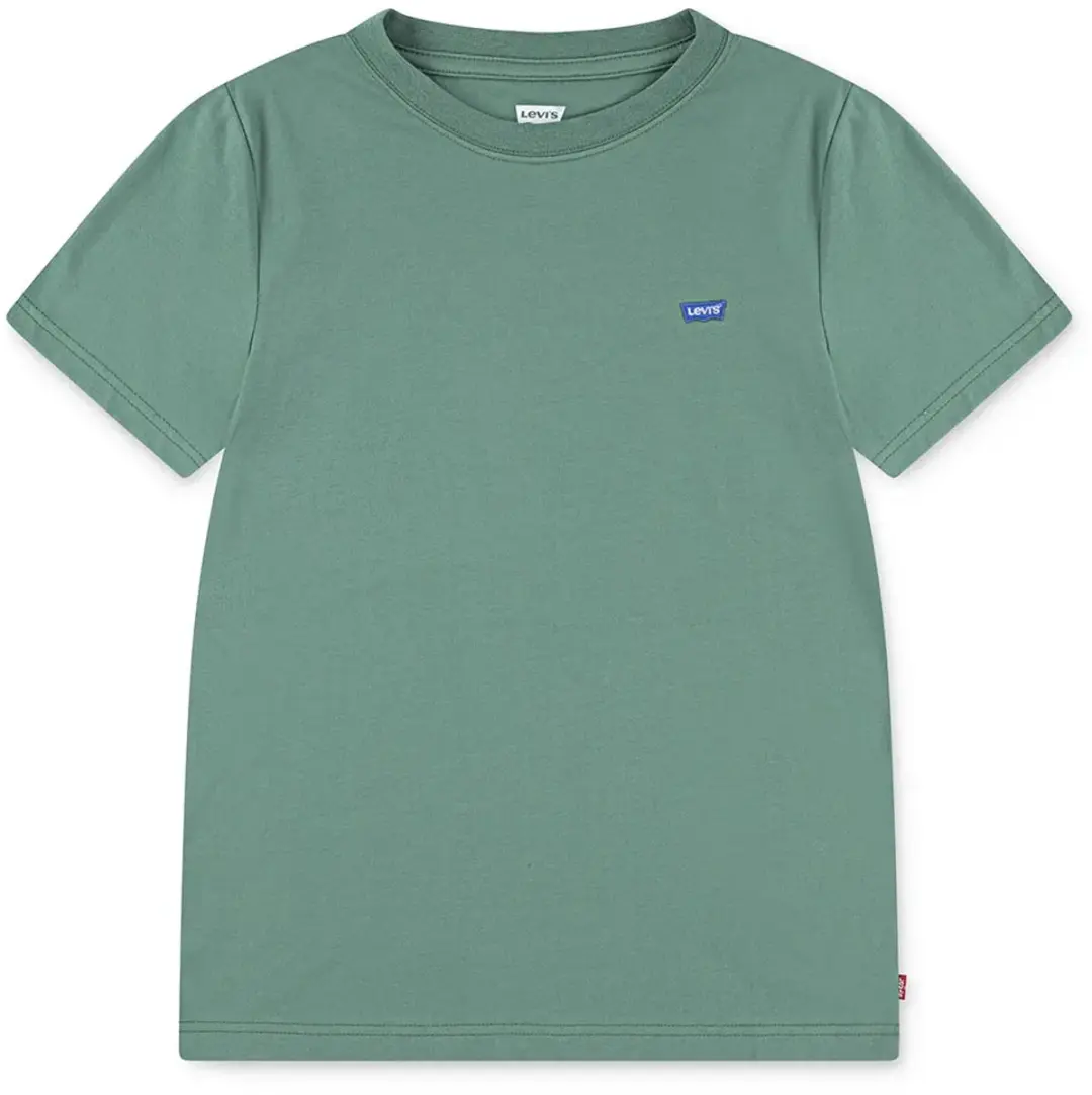 Levi's Kids Batwing Chest Hit T-shirt - 10 Jaar - Deep Grass Green