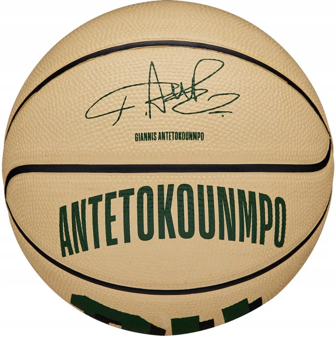Wilson Giannis Antetokounmpo Mini Basketbal Maat 3 - afbeelding 6 van 6