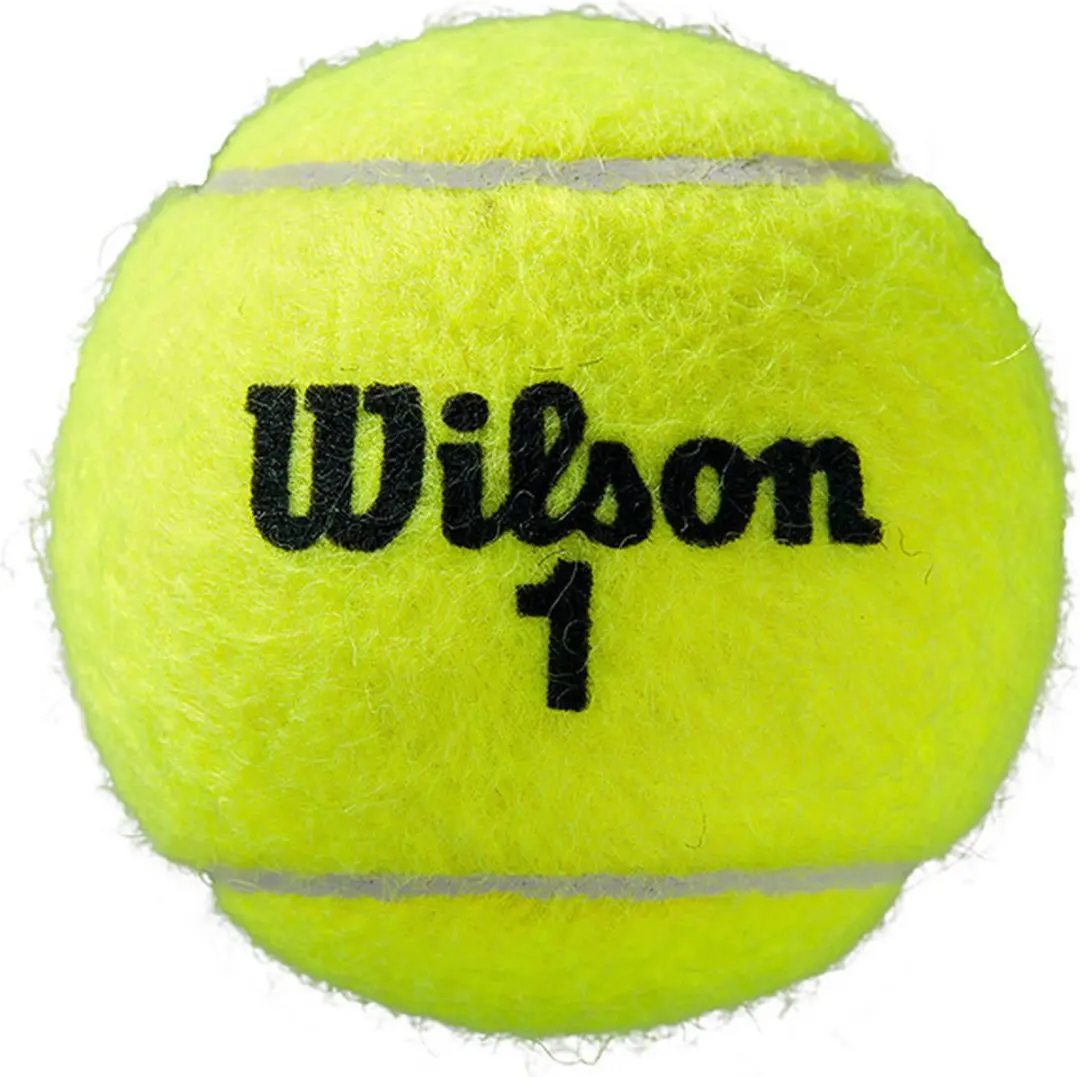 Wilson Roland Garros All Court Tennisballen 4 Stuks - Geel