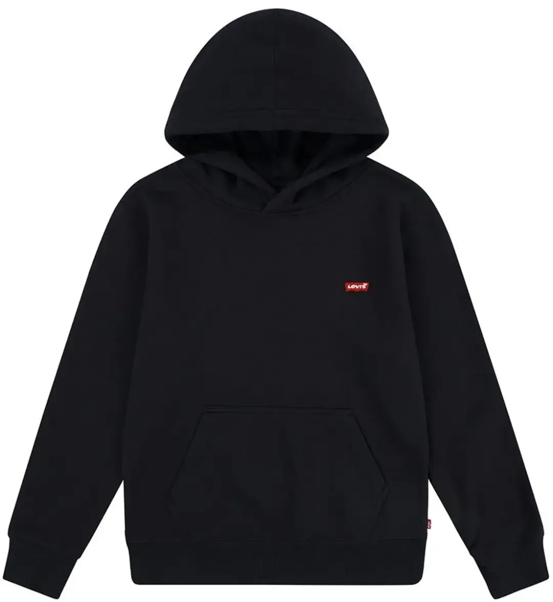 Levi's Kids Mini Batwing Hoodie