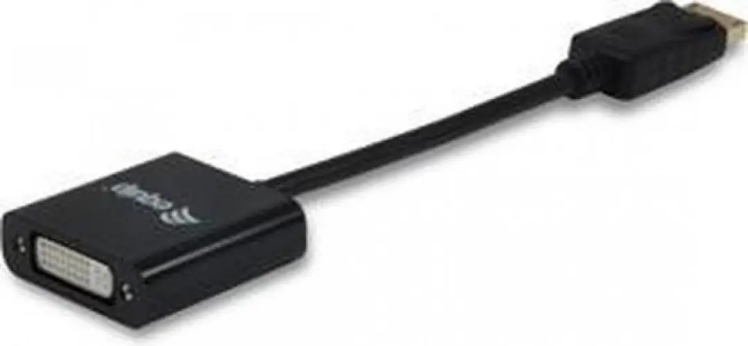 Equip DisplayPort naar DVI Adapter
