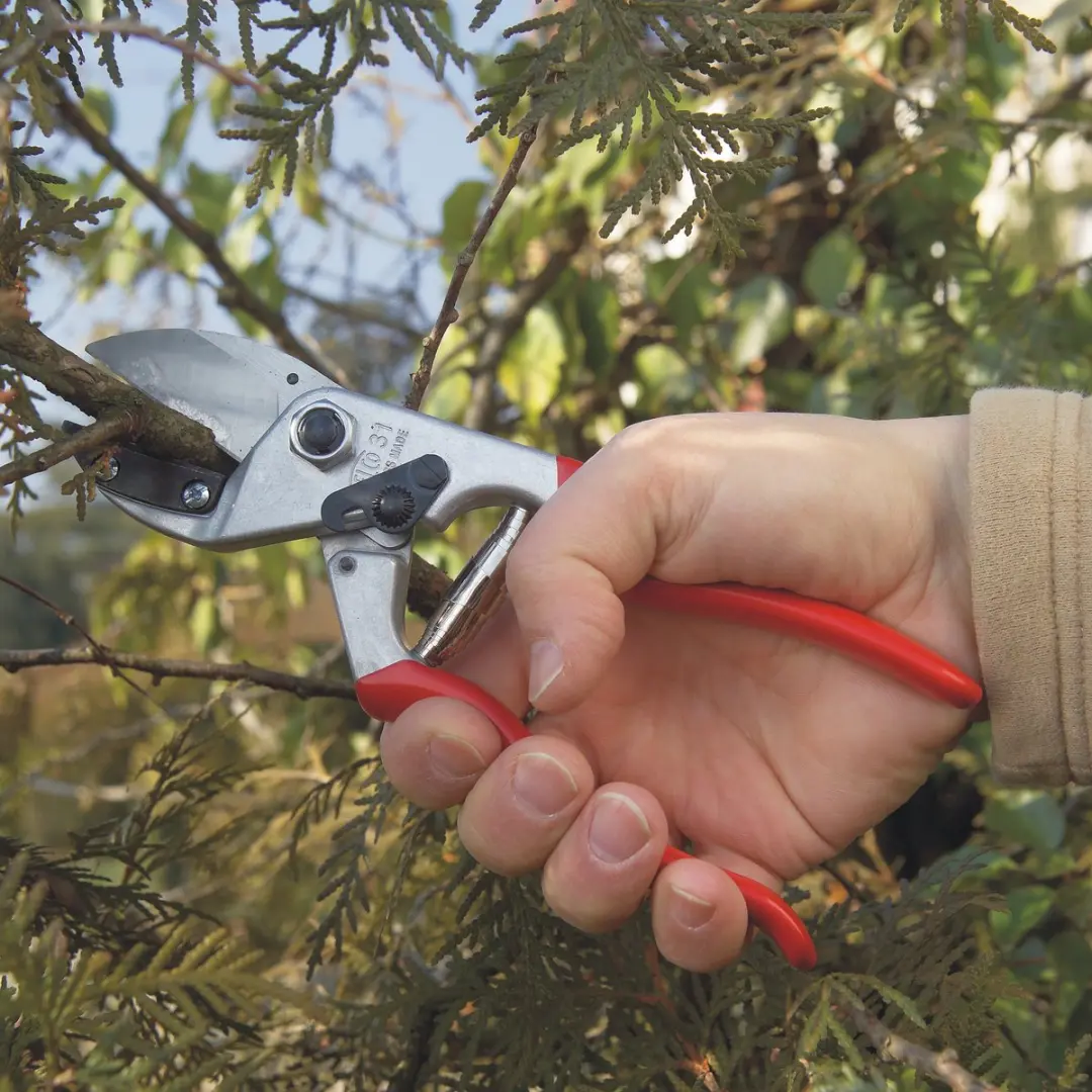 Felco 31 Tuinschaar Amboss - 25mm - afbeelding 5 van 6