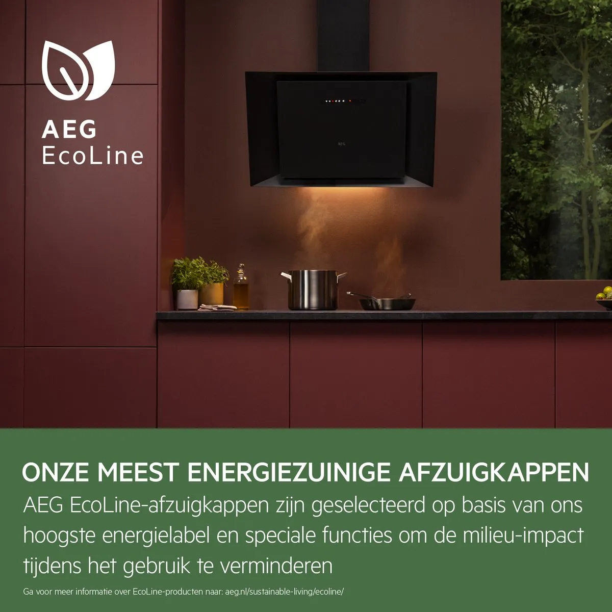 AEG DPE5650M EcoLine 5000 Afzuigkap 60cm