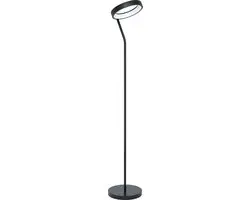 Eglo Marghera-C Vloerlamp