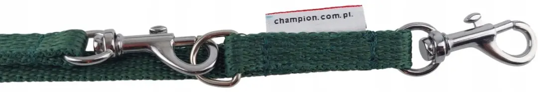Champion Verstelbare Hondenlijn 225cm - Groen
