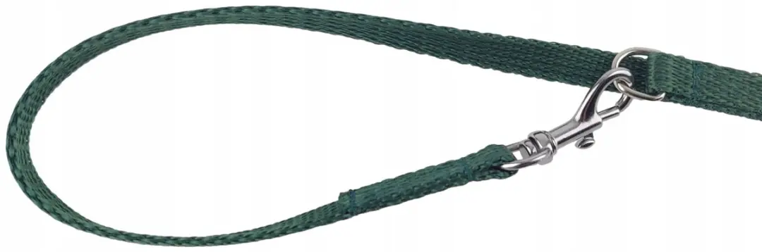 Champion Verstelbare Hondenlijn 225cm - Groen