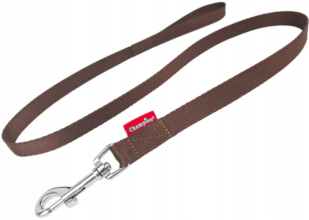Champion Hondenriem 120cm - 2cm Bruin