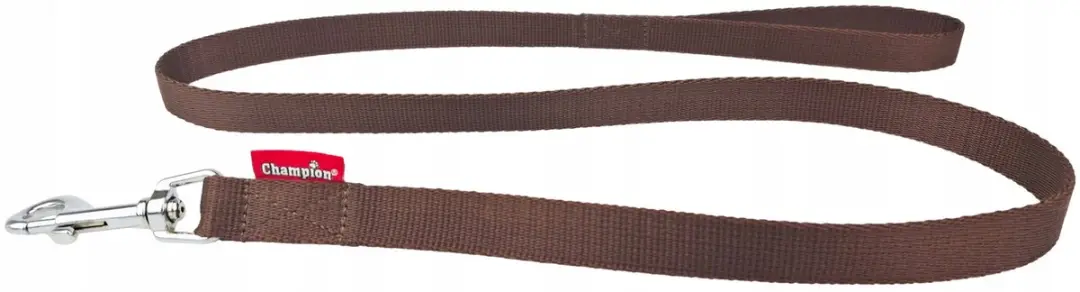 Champion Hondenriem 120cm - 2cm Bruin
