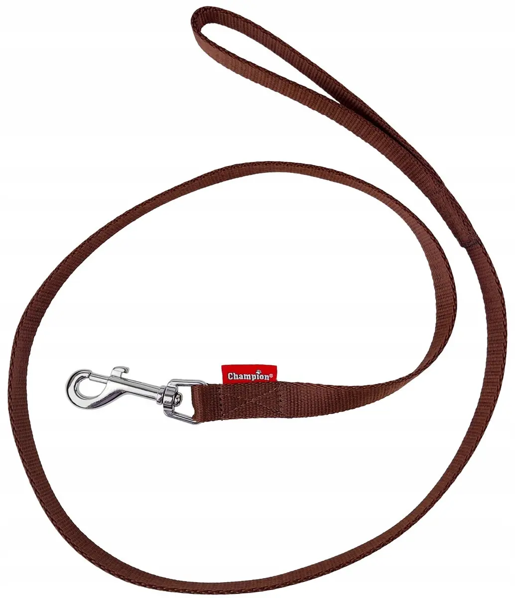Champion Hondenriem 120cm - 2cm Bruin