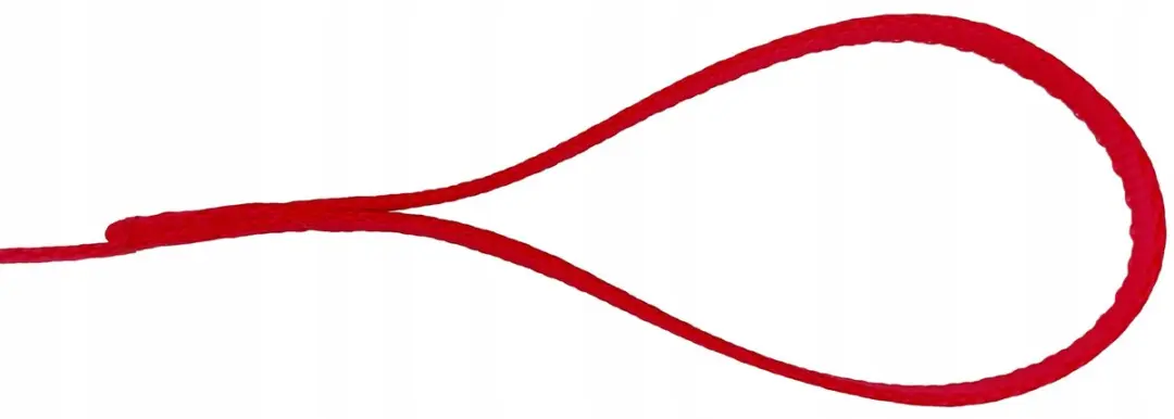 Champion Hondenlijn Rood 120cm