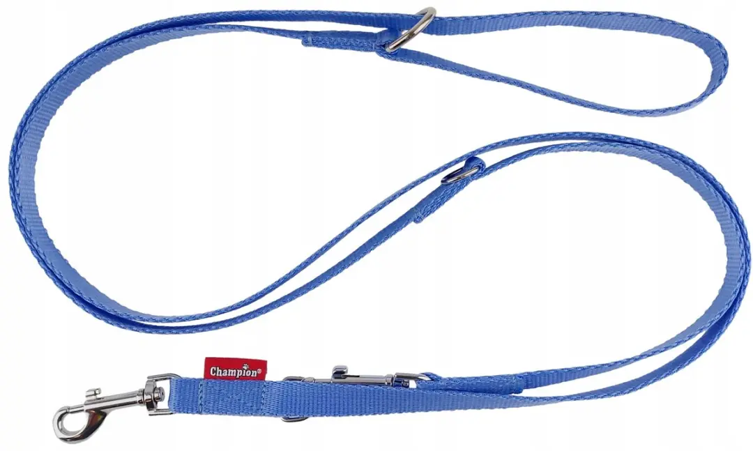 Champion Verstelbare Hondenriem - 225cm - Blauw