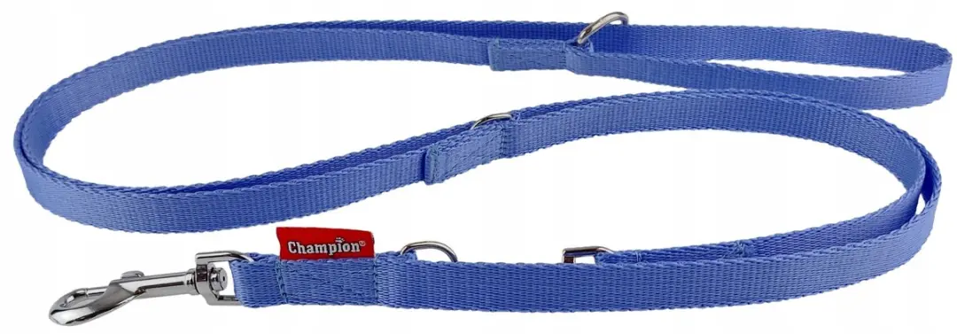 Champion Verstelbare Hondenriem - 225cm - Blauw