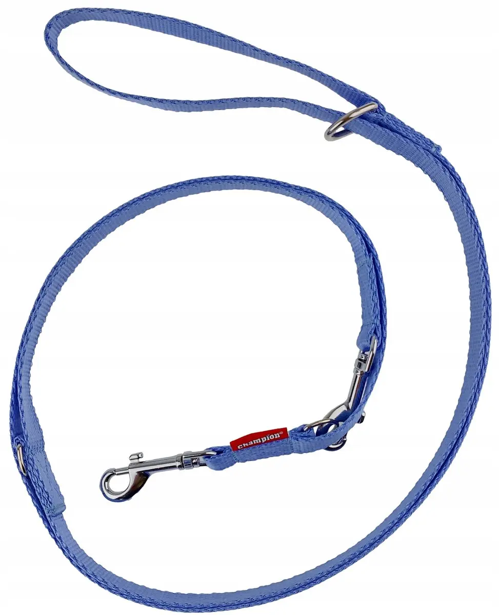Champion Verstelbare Hondenriem - 225cm - Blauw